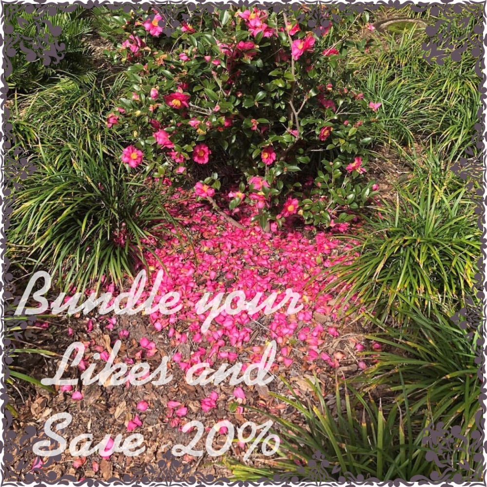 Bundle your likes and I’ll make you an offer🌺